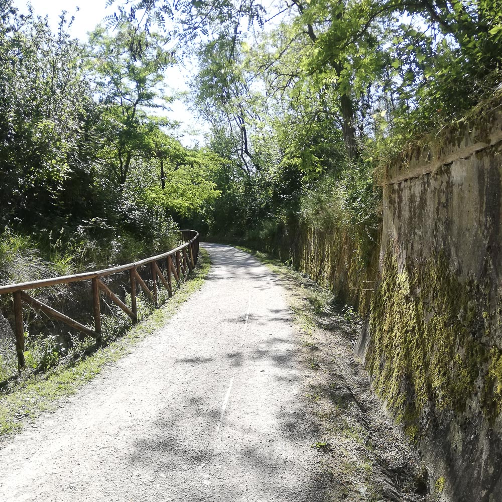 Arboreto didattico Ca'Vagnetto