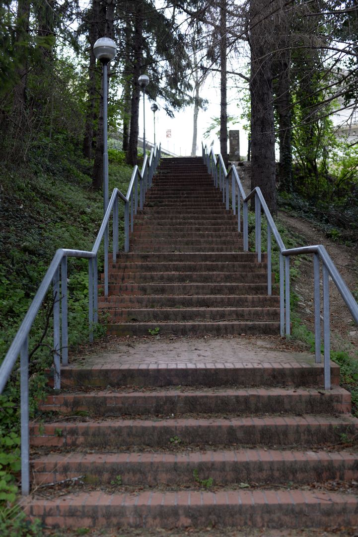 Bosco del Bocciodromo